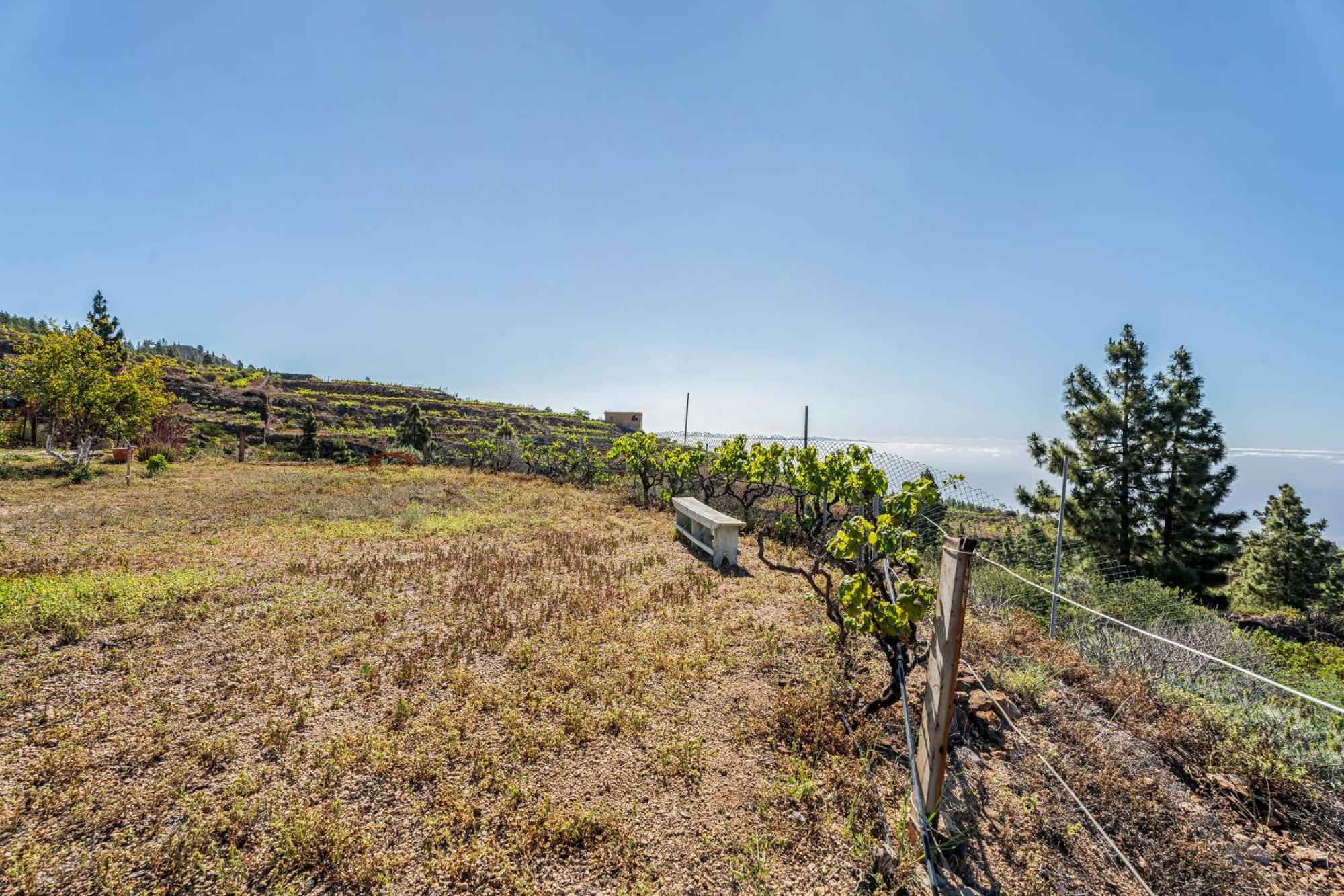 Land Of Dreams 2 Villa Granadilla De Abona Luaran gambar